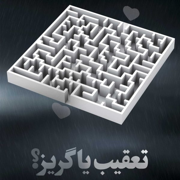 تعقیب یا گریز؟
